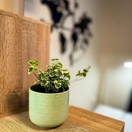 شقة Citypark Apartma