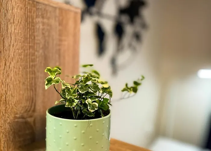 Lägenhet Citypark Apartma